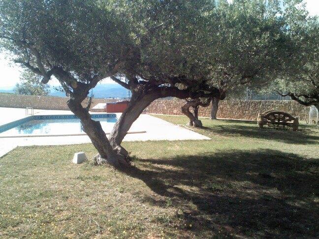 L'Ermita Casa Ripo 호텔 Vall dʼAlba 외부 사진